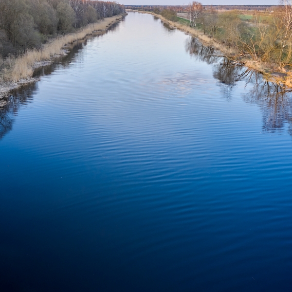 Article 6 creates two kinds of carbon credits — what that means for business